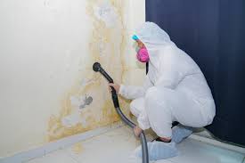 Mold Removal for HVAC Installations in Downs, IL